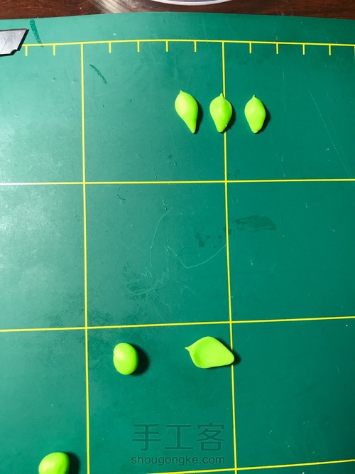 不知道名字的肉肉 第9步