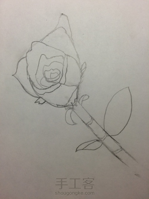 玫瑰的画法 第2步