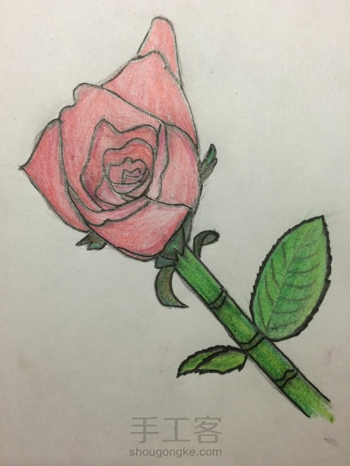 玫瑰的画法 第5步