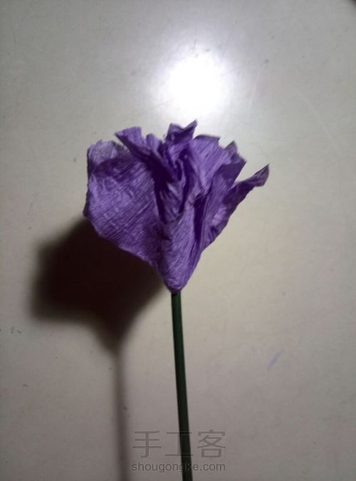 风信子皱纹纸花 第12步