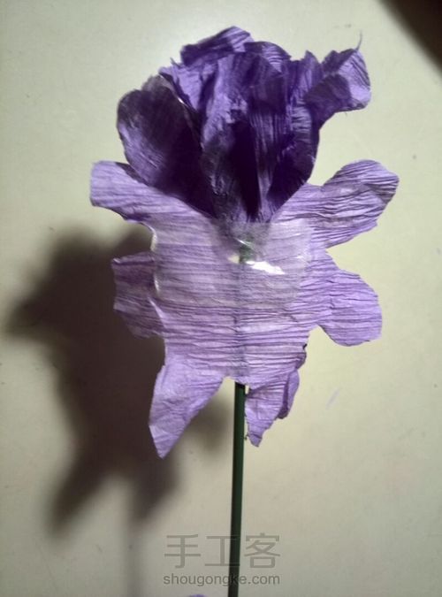 风信子皱纹纸花 第13步