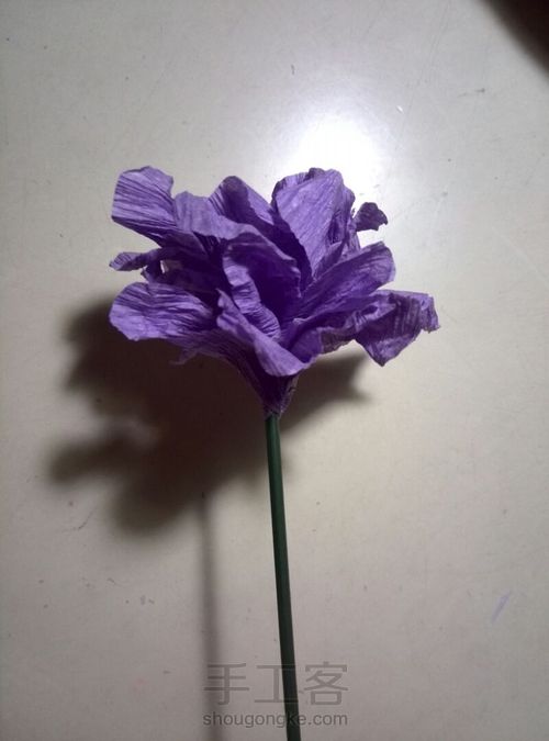 风信子皱纹纸花 第14步