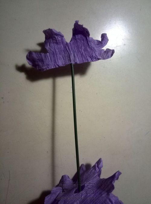 风信子皱纹纸花 第8步