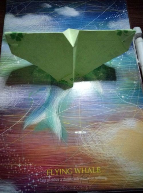 玫瑰花 第14步