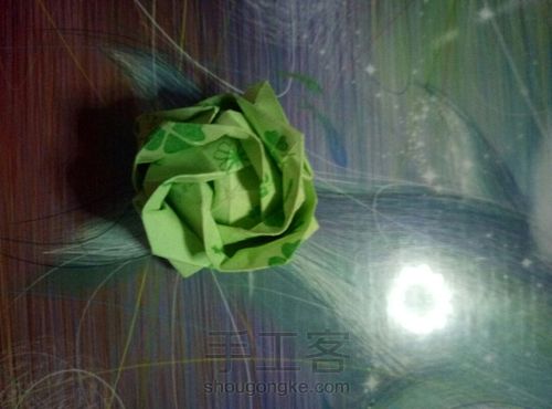 玫瑰花 第34步