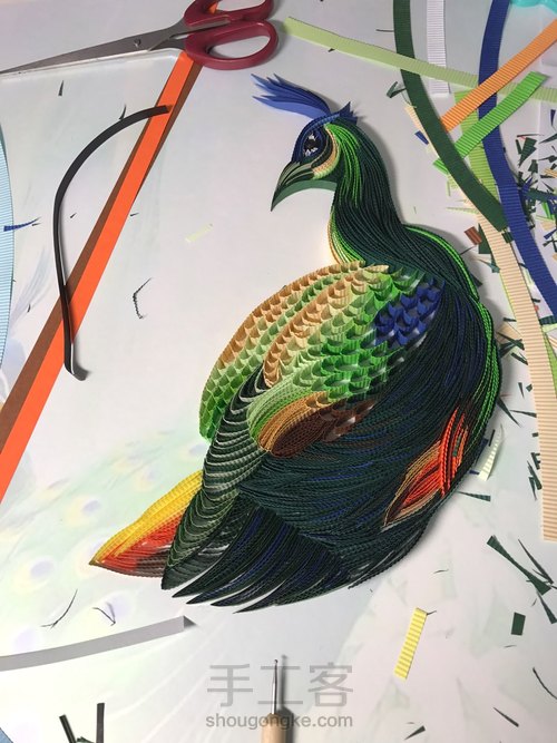 吉祥孔雀 第7步