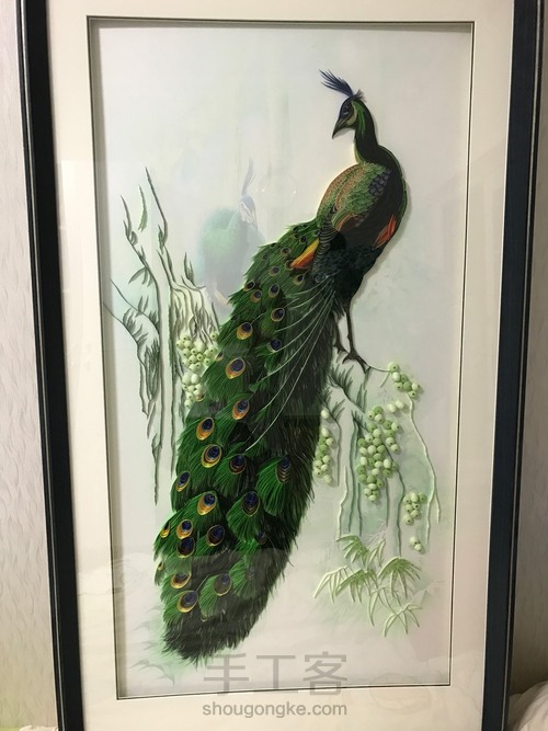 吉祥孔雀 第14步