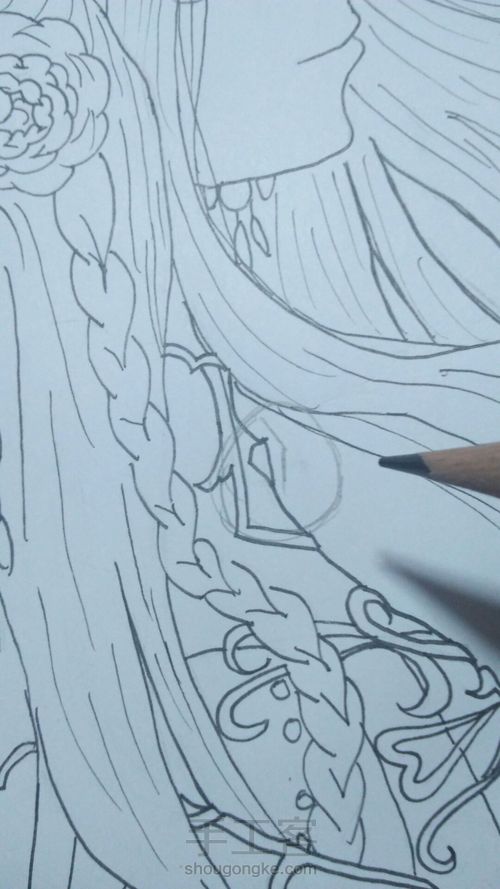 奇暖同人(双色鹦鹉) 第14步