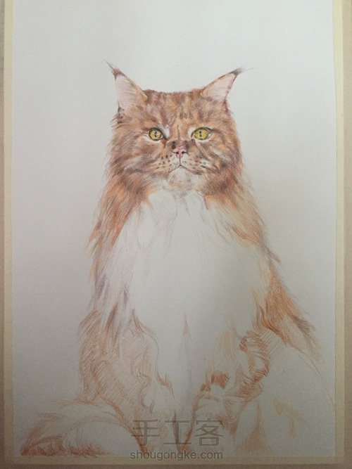 手绘猫咪 第4步