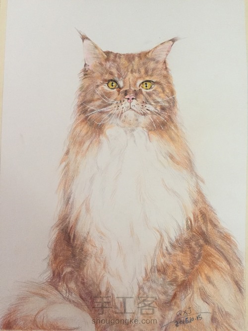 手绘猫咪 第8步