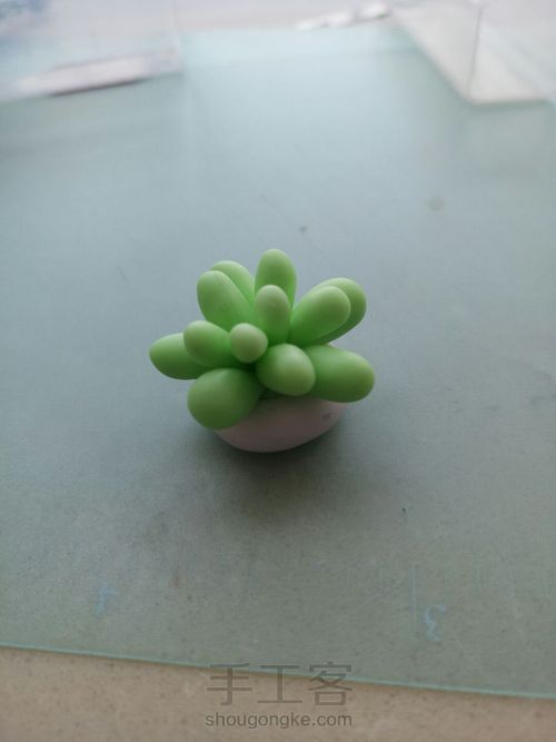 适合新手的可爱粘土多肉 第5步
