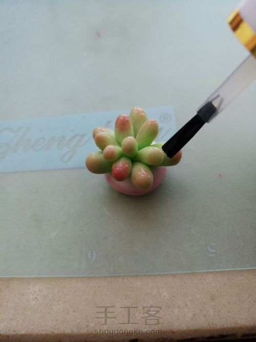 适合新手的可爱粘土多肉 第8步
