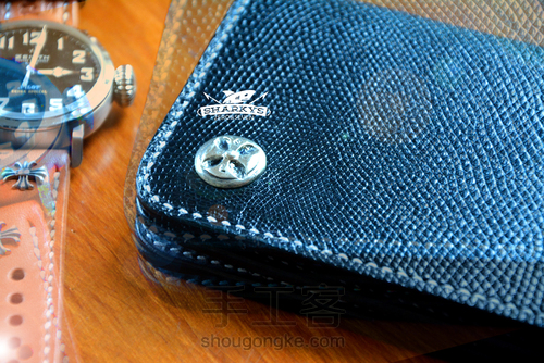 〓素黑蜥蜴〓蜥蜴皮长财 第21步