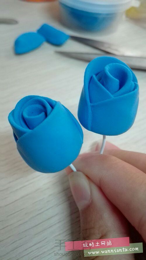 植物以及花朵的教程
非原创 第14步