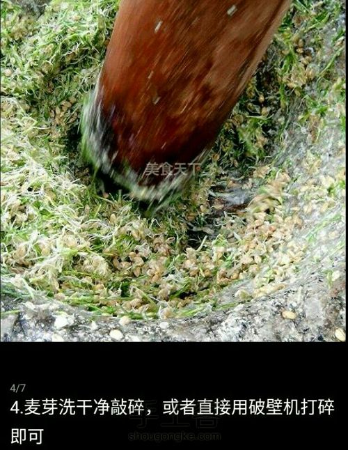 自制麦芽糖 第4步