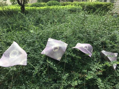 扎染桌布 第9步