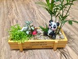 熊猫的家 粘土园艺