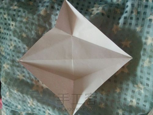 可爱的猫咪 第1步