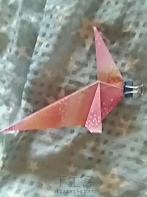 可爱的猫咪 第11步