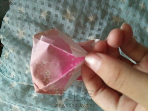 可爱的猫咪 第40步