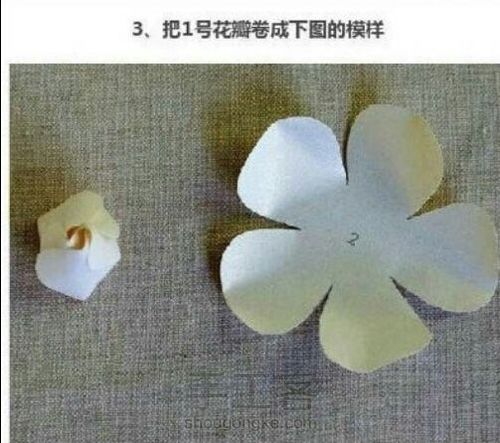 转载简单好看的花儿 第3步