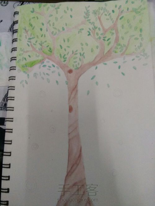 水彩树 第4步