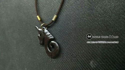 海马先生 第10步