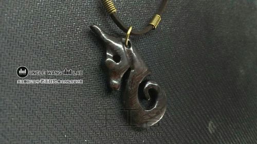 海马先生 第11步