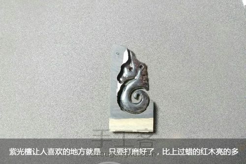 海马先生 第9步