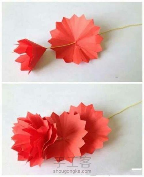 （转）【康乃馨】－折纸（剪纸）教程 第5步