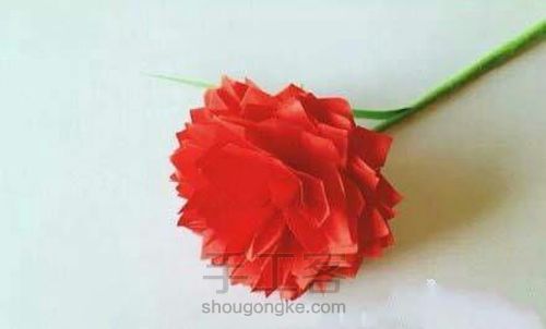 （转）【康乃馨】－折纸（剪纸）教程 第7步
