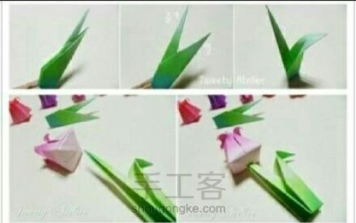 （转）【郁金香】－折纸教程 第6步