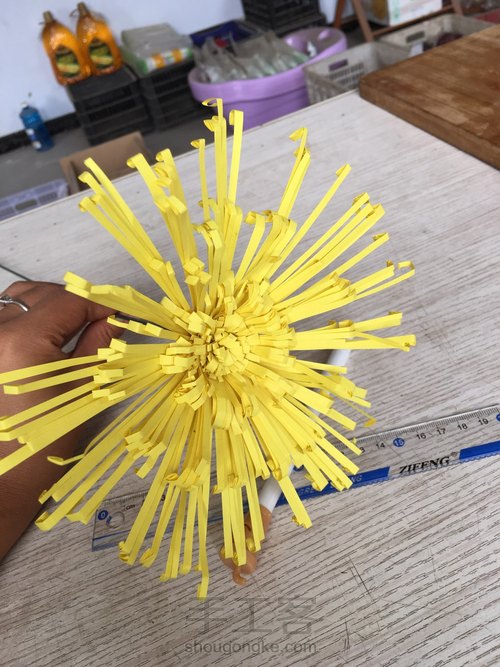菊花 第7步