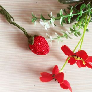 立体草莓刺绣教程