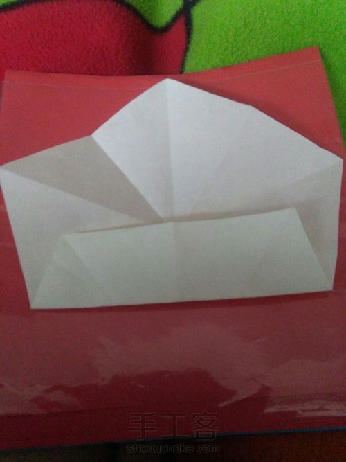 奇怪的花 第17步