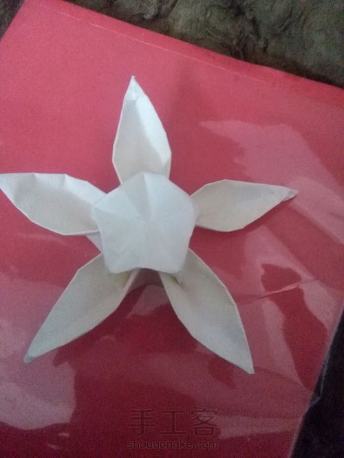 奇怪的花 第26步