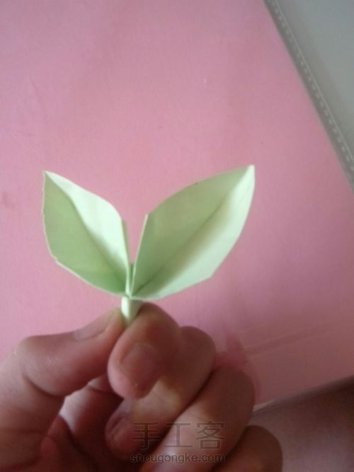可爱的叶子 第20步