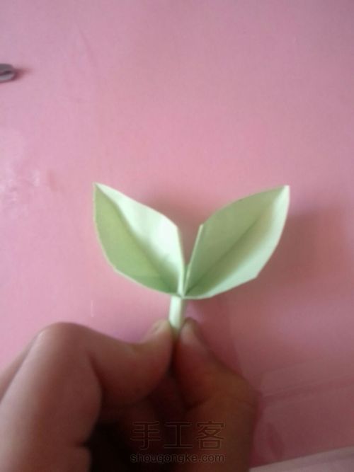 可爱的叶子 第21步