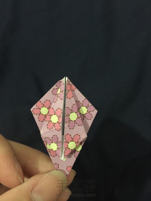折纸    无题 第8步