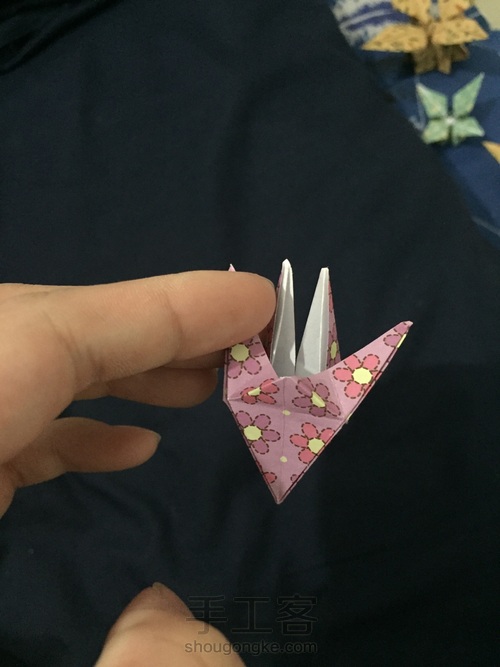 折纸    无题 第10步