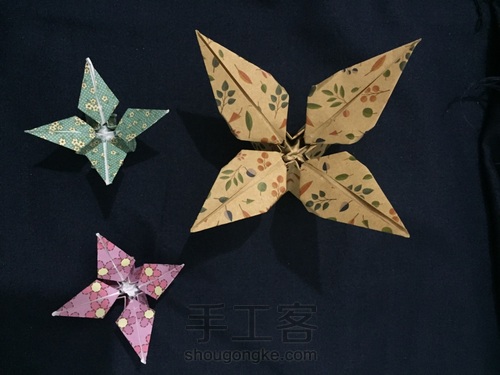 折纸    无题 第24步