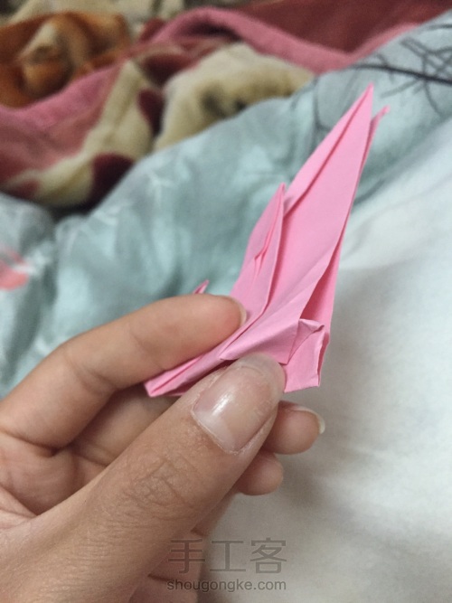 折纸翼龙 第22步