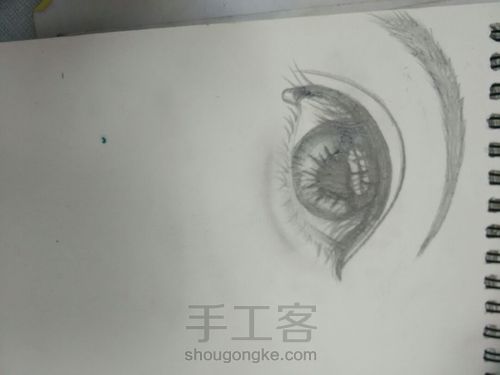 眼睛 第10步