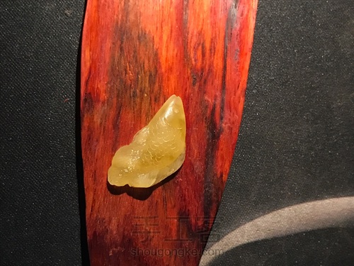 蜜蜡随形孔雀鱼 第13步