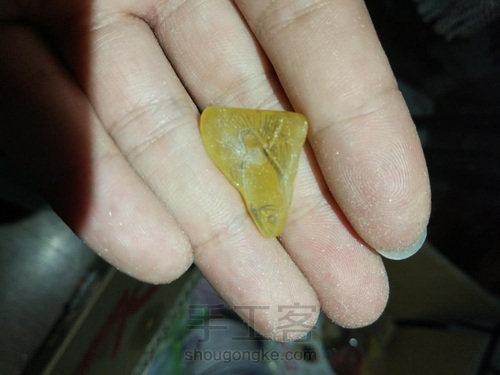 蜜蜡随形孔雀鱼 第8步