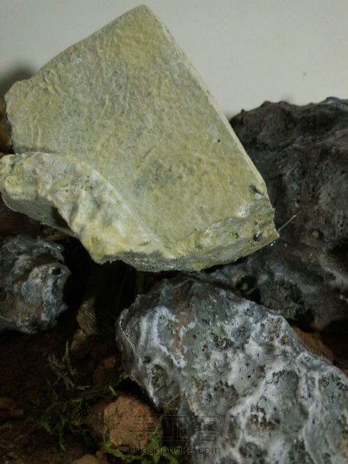 铁血战士 第11步