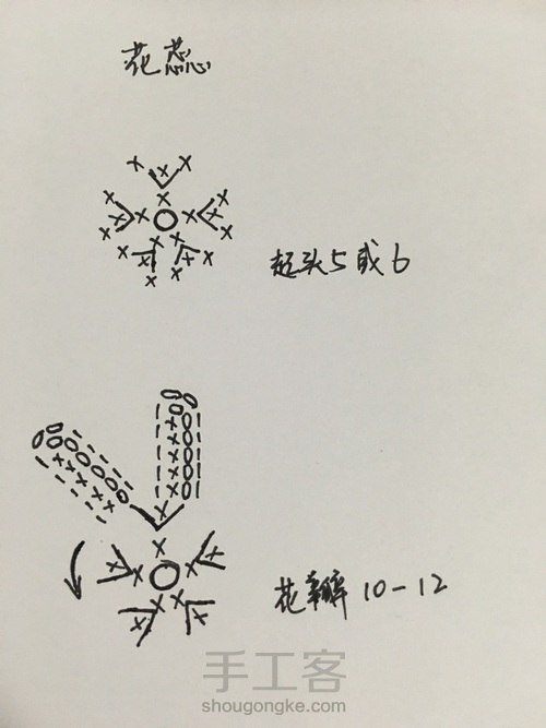 邹菊花教程🎈 第20步