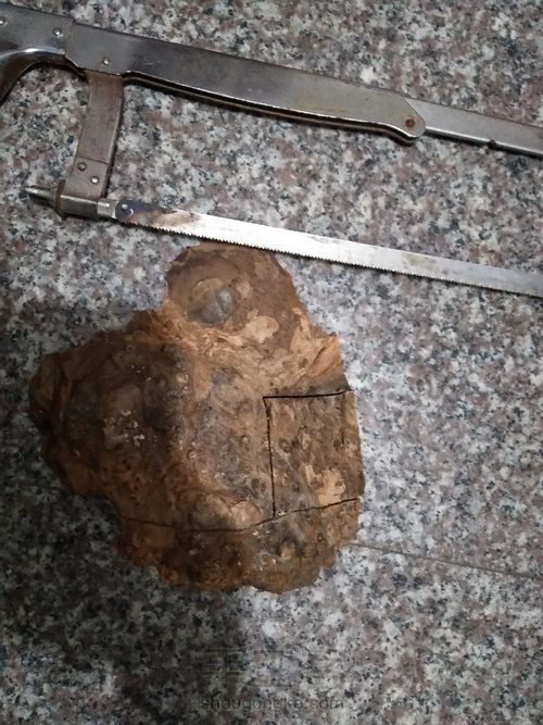 瘤疤黄金樟打火机 第1步