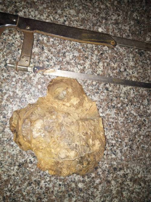 瘤疤黄金樟打火机 第2步