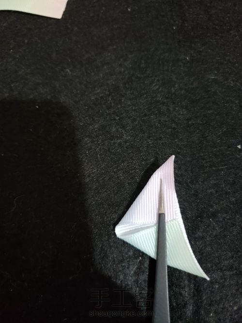 漂亮的玫瑰花 第2步